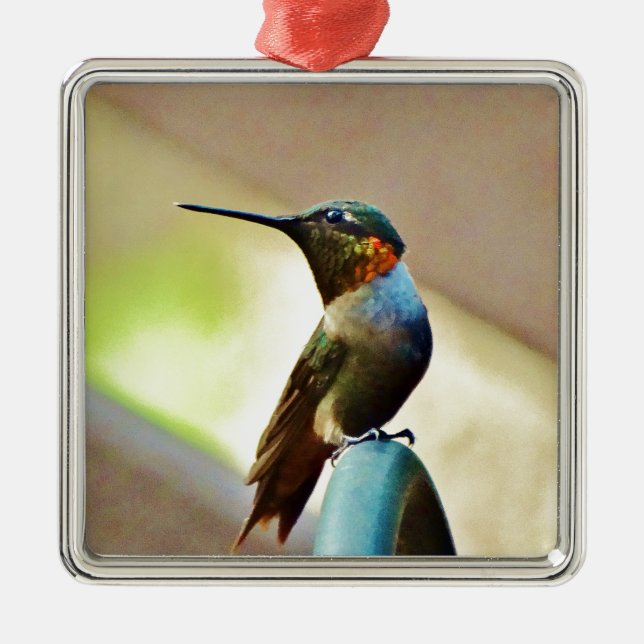 Perched Ruby and Green  little Hummingbird Metal Tree Decoration (Front)