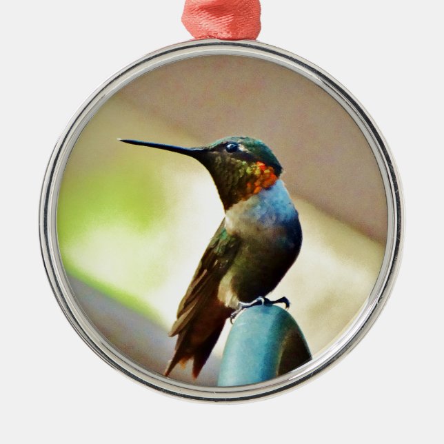 Perched Ruby and Green  little Hummingbird Metal Tree Decoration (Front)