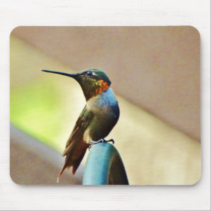 Perched Ruby and Green  little Hummingbird Mouse Pad