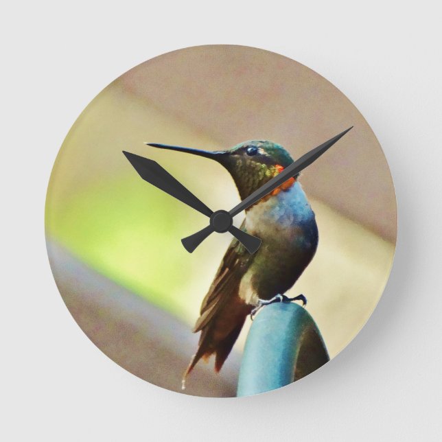 Perched Ruby and Green  little Hummingbird Round Clock (Front)