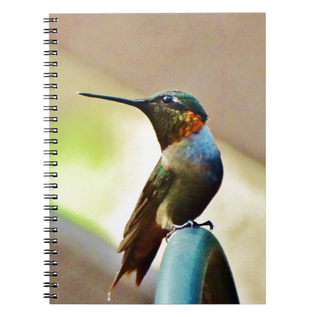 Perched Ruby and Green  little Hummingbird Spiral Notebook (Front)
