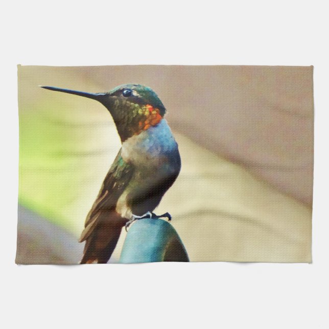 Perched Ruby and Green  little Hummingbird Tea Towel (Horizontal)
