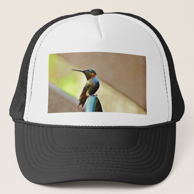 Perched Ruby and Green  little Hummingbird Trucker Hat (Front)