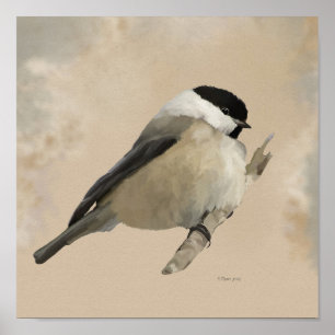 Perched Willow Tit Poster
