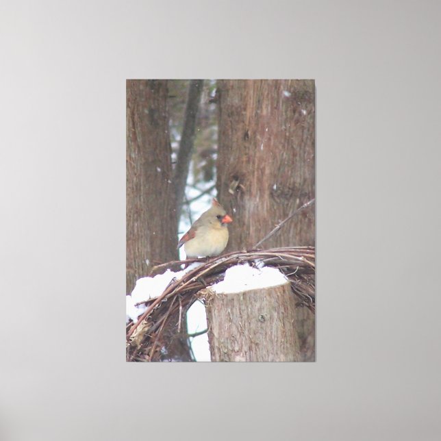 Perched With Beauty Canvas Print (Front)
