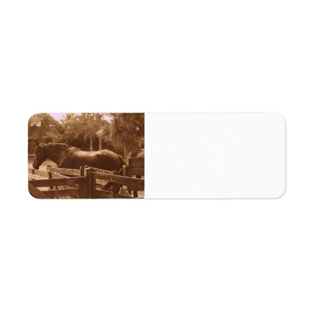 Percheron address labels (Front)