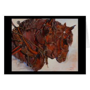 Percheron draught   horse fine art card