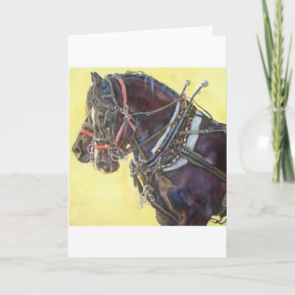 Percheron Draught horse team greeting card