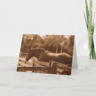 Percheron Greeting card