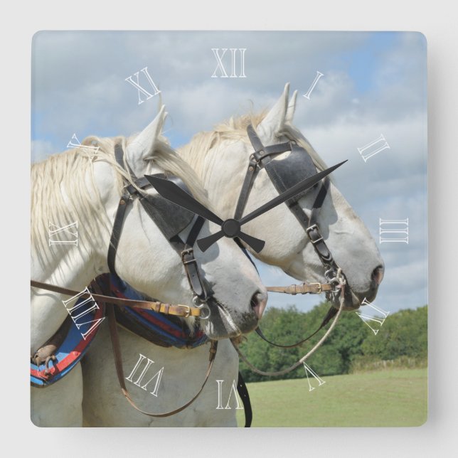 Percheron horses in harness square wall clock (Front)