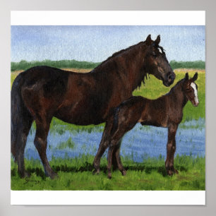 Percheron Mare and Foal Portrait Poster