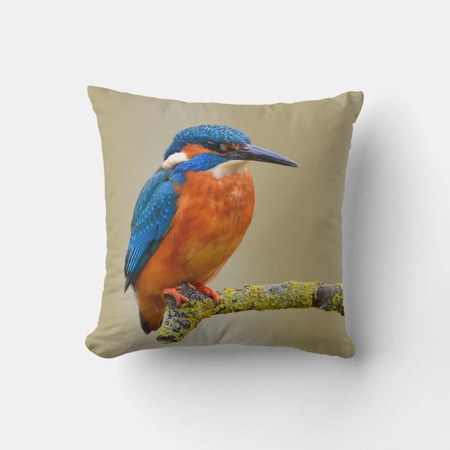 Perching Kingfisher Cushion (Front)