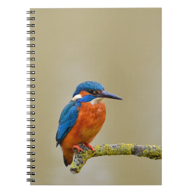 Perching Kingfisher Notebook (Front)