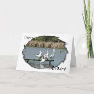 Perching Pelicans Birthday Card