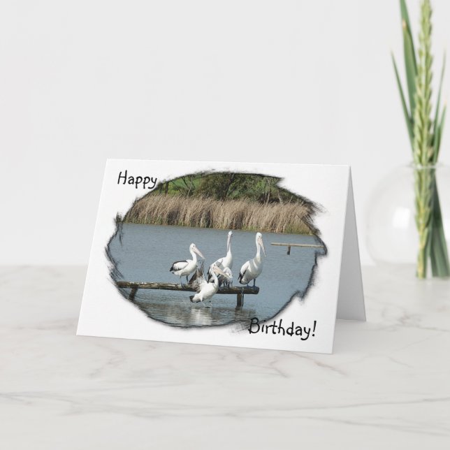 Perching Pelicans Birthday Card (Front)