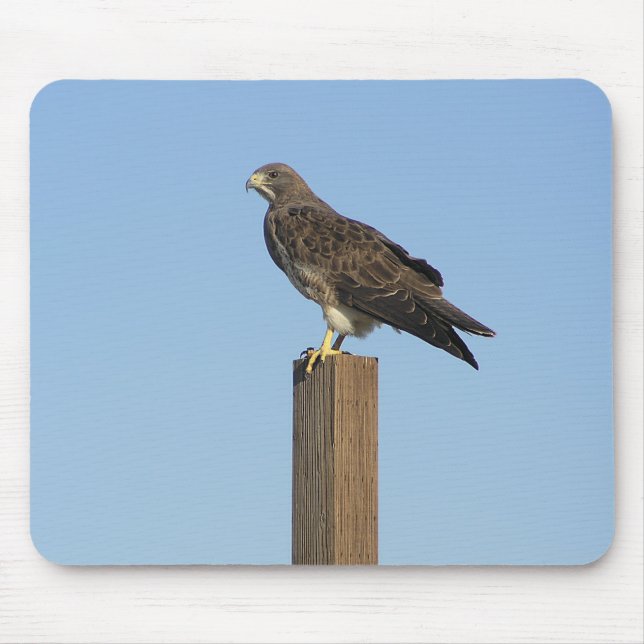 Perching Raptor Mouse Pad (Front)