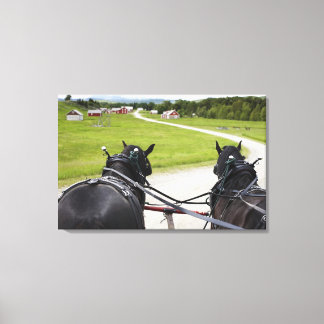Perchon horses pulling cart against historic canvas print
