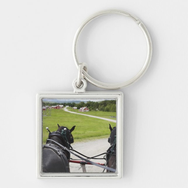 Perchon horses pulling cart  against historic key ring (Front)