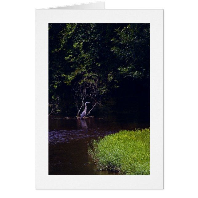 Percival's Isle, Lynchburg Virginia (Front)