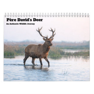 Père David’s Deer 2027 Wall Calendar