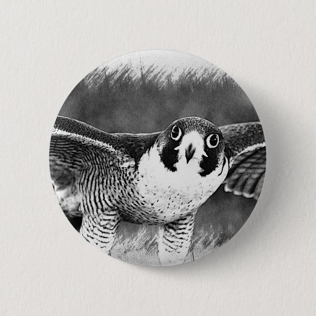 Peregrine Falcon 6 Cm Round Badge (Front)