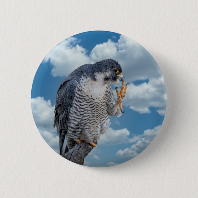 Peregrine Falcon along the Hudson River 6 Cm Round Badge (Front)