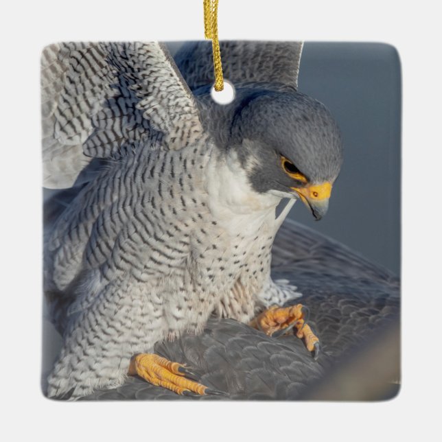 Peregrine Falcon along the Hudson River Ceramic Ornament (Front)