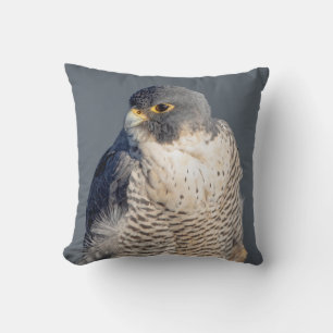 Peregrine Falcon along the Hudson River Cushion