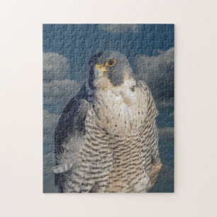 Peregrine Falcon along the Hudson River Jigsaw Puzzle