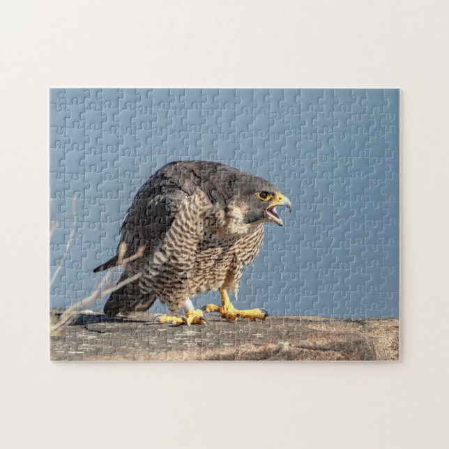 Peregrine Falcon along the Hudson River Jigsaw Puzzle (Horizontal)