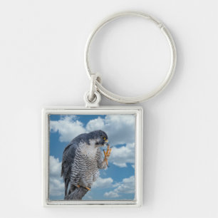 Peregrine Falcon along the Hudson River Key Ring