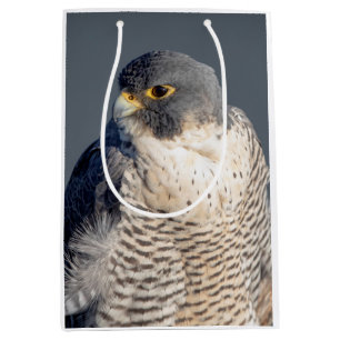 Peregrine Falcon along the Hudson River Medium Gift Bag