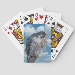 Peregrine Falcon along the Hudson River Playing Cards