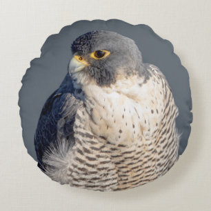 Peregrine Falcon along the Hudson River Round Cushion