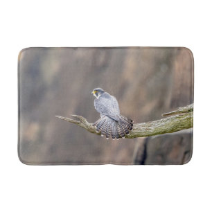 Peregrine Falcon at the Palisades Interstate Park Bath Mat