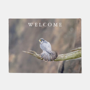Peregrine Falcon at the Palisades Interstate Park Doormat