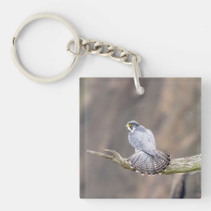 Peregrine Falcon at the Palisades Interstate Park Key Ring