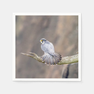 Peregrine Falcon at the Palisades Interstate Park Napkin