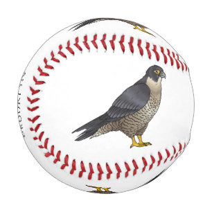 Peregrine falcon bird cartoon illustration  baseball