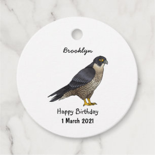 Peregrine falcon bird cartoon illustration favour tags