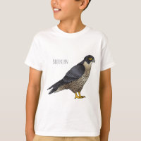 Peregrine falcon bird cartoon illustration