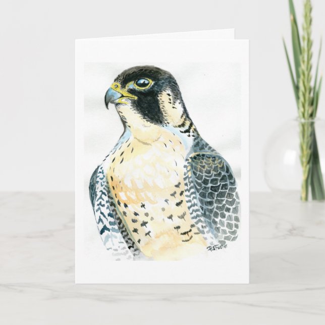 Peregrine Falcon Birthday Card (Front)