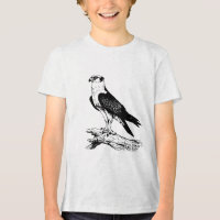 Peregrine falcon Boys' T-Shirts