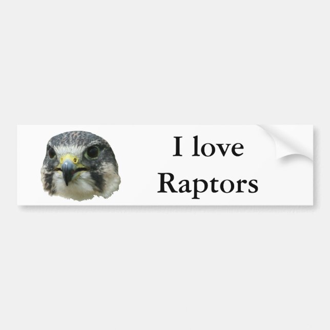 Peregrine Falcon Bumper Sticker (Front)