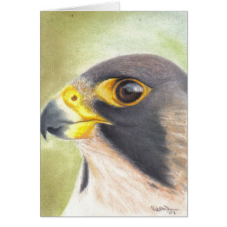 Peregrine Falcon card