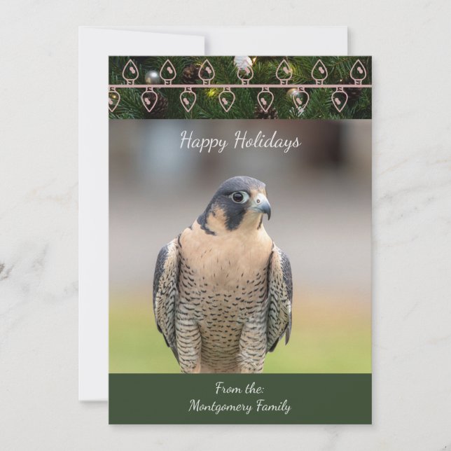 Peregrine Falcon Christmas Card (Front)