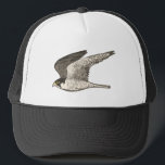 Peregrine Falcon Coloured Pencil Art Trucker Hat<br><div class="desc">Check out this awesome pencil illustration of a peregrine falcon and get ready for some speed! Check out my shop for more designs too!</div>