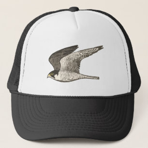 Peregrine Falcon Coloured Pencil Art Trucker Hat