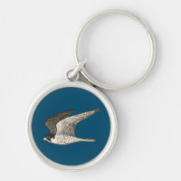 Peregrine Falcon cool bird illustration