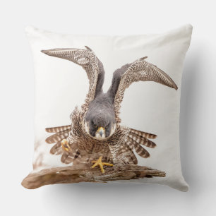 Peregrine Falcon Cushion